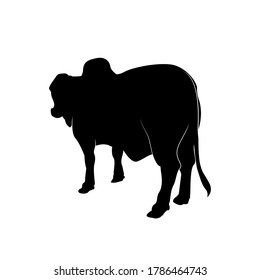 Silhouette Kuh steht auf der Rückseite Tiervektorgrafik