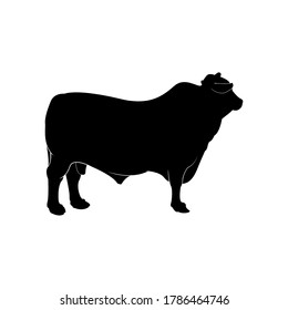 silhouette Cow  stand up side view  animal vector illustrator