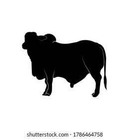 silhouette Cow  stand up side view  animal vector illustrator