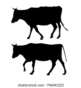 Silhouette. Cows are coming. Black and white. Vector illustration, graphic on white background.