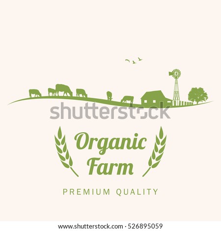 Silhouette of cows in farm with text organic farm, vector