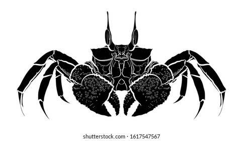 Silhouette of a crab. Graphic drawing. Vector illustration.