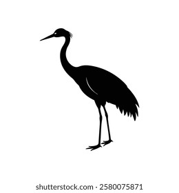 Silhouette crane bird illustration design.
