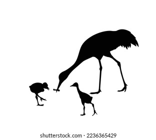 silhouette of crane family foraging on white background vector illustration