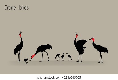 silhouette of crane family foraging on gray background vector illustration