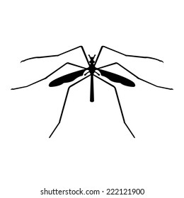 Silhouette of a crane-fly