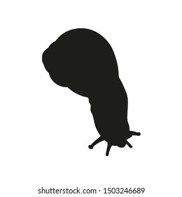 Silhouette of crawling garden snail. Vector illustration isolated on white background
