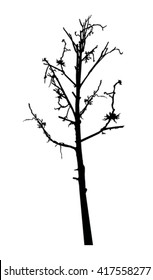  Silhouette of crooked tree (thorn). Symbol of desert. Save environment.