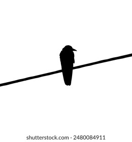 A silhouette of a crow