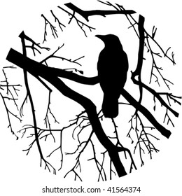 Silhouette of a crow