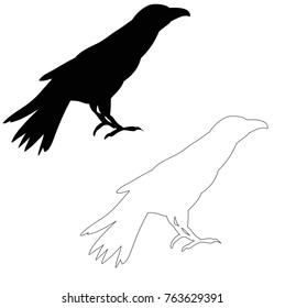 silhouette of a crow