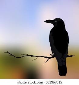 silhouette of a crow in different positions. vector illustration