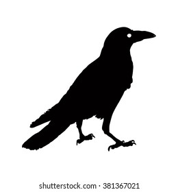 silhouette of a crow in different positions. vector illustration