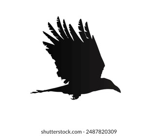 Silhouette of a crow in flight with wings spread. Crow flying.