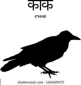 Silhouette of a crow with an inscription in Sanskrit and in English.  All elements are isolated and can be used separately for your design.