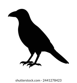 silhouette of a crow  on white