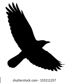 Silhouette of the crow (or rook) in flight.