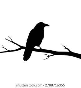Silhouette of a crow perched on a branch at dusk