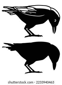 silhouette of crow raven sitting and looking at ground vector illustration