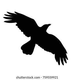 silhouette of crows, bird flying