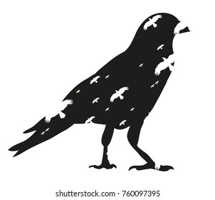 silhouette of crows, birds