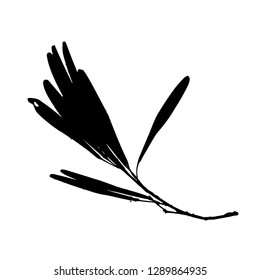 Silhouette. Curved alder branch with seeds. Maple, alder, linden. Vector illustration. Isolated background. Dry seeds. Brown color. Autumn day. Postcard with alder seeds. Group of alder seeds.