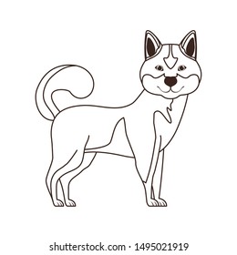 silhouette of cute akita inu dog on white background