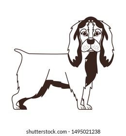 silhouette of cute cocker spaniel ingles dog on white background