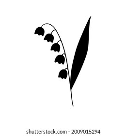 Silhouette of cute single hand drawn floral element. Vector illustration. Lily of the valley. Convallária.