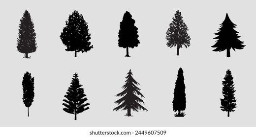 Silhouette Cypress (Cupressus) And Pine (Pinoideae) Tree Collection, Silhouette Tree Isolated On Background, Vector Black Trees