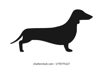 Silhouette of a Dachshund dog. Vector stock icon isolated on a white background.