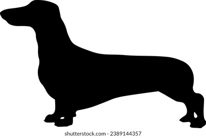 Silhouette of dachshund isolated vector