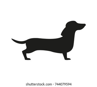 Silhouette of the dachshund on the white background. Vector illustration.