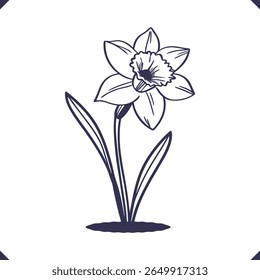 Silhouette of a daffodil with trumpet-shaped corona and pointed petals, line art floral silhouette vector