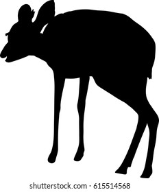 Silhouette of a damara dik dik, hand drawn vector illustration isolated on white background