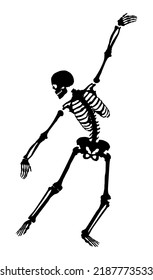 
Silhouette of a dancing skeleton. One shape (curve) vector.