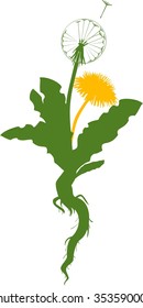 silhouette of dandelion