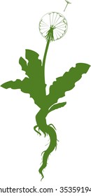 silhouette of dandelion