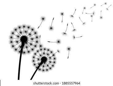 Silhouette of dandelion with flying seed or spore. Vector illustration