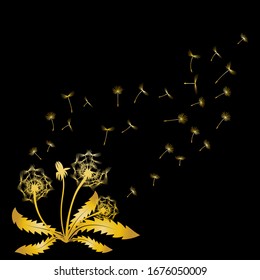 Silhouette of a dandelion with flying seeds. Black and gold illustration of a flower. Summer plant.