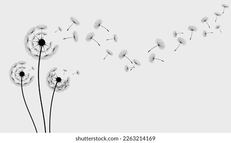 Silhouette of a dandelion with flying seeds. Black contour of a dandelion. Black and white illustration of a flower.