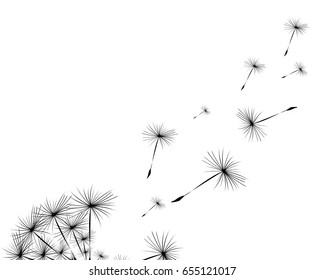 Silhouette of a dandelion on a white background