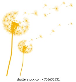 Silhouette of a dandelion on a white background