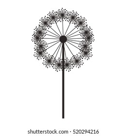 silhouette dandelion with stem and pistil