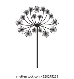 silhouette dandelion with stem and pistil