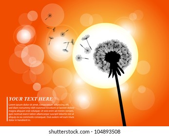 A silhouette of a dandelion in the sunset