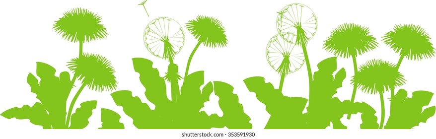silhouette of dandelions