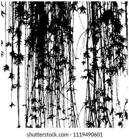 Silhouette of dangling branches of pussy willow. Lianas. Young branches with buds. Isolated Vector Illustration. Black pattern on white background.