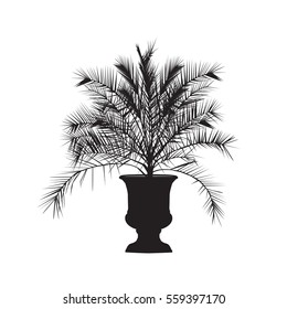 A silhouette of a date palm tree in a vase on a white background
