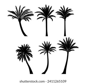 Silhouette of a date palm tree vector isolated on white background.
